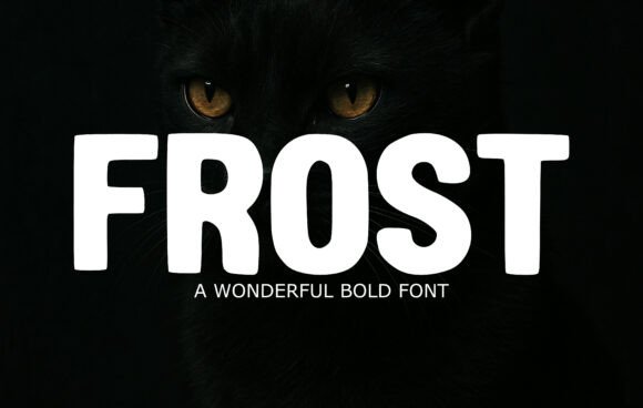 Frost: A Bold, Friendly Display Font for Modern Designers
